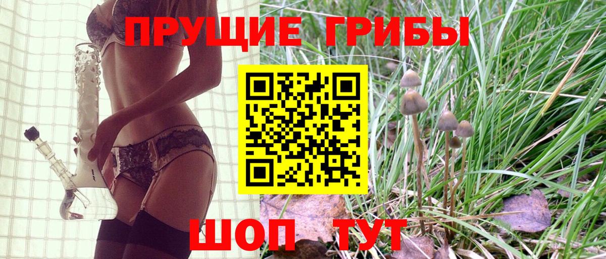 Галлюциногенные грибы Magic Shrooms Торжок