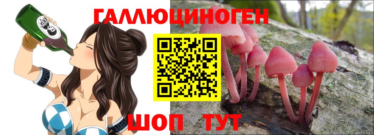 Торжок  Псилоцибиновые грибы GOLDEN TEACHER  Вход с VPN 