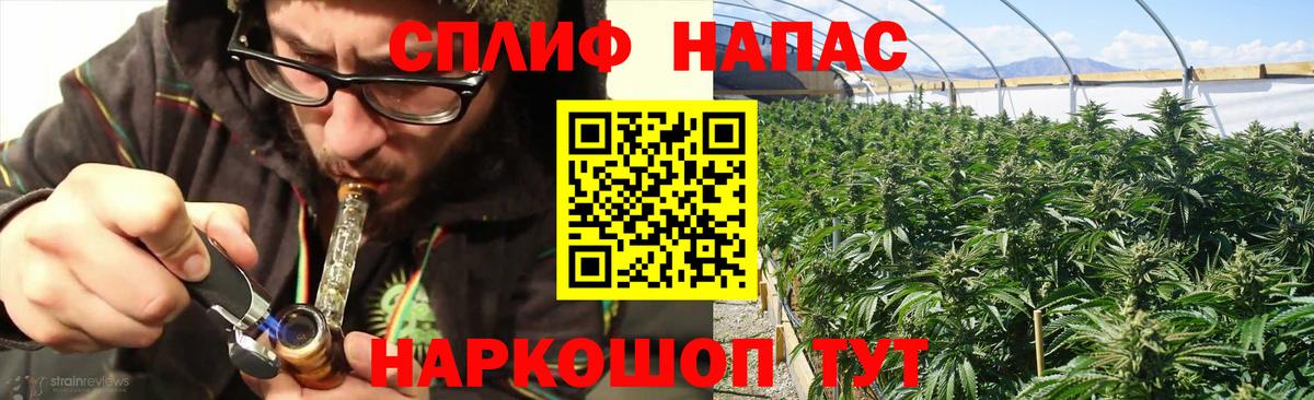 Торжок  Каннабис Bruce Banner  Вход с VPN  Марихуана Amnesia 